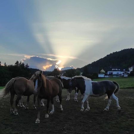 Ferienwohnung Am Tor Zum Thueringer Wald Plaue  Esterno foto